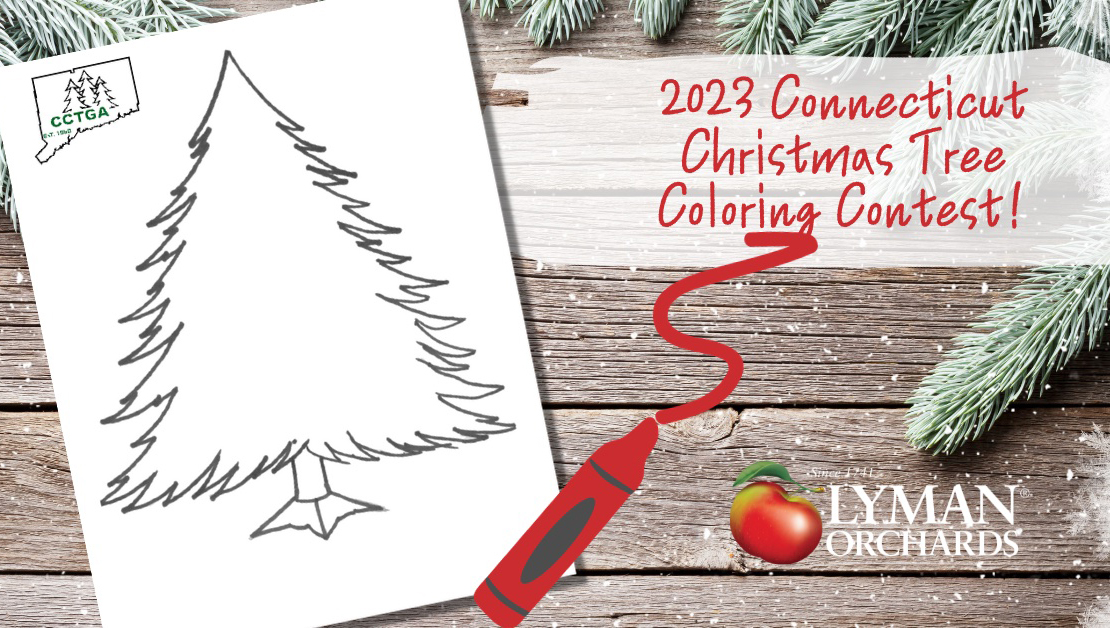 Annual Connecticut Christmas Tree Coloring Contest at Lyman Orchards
