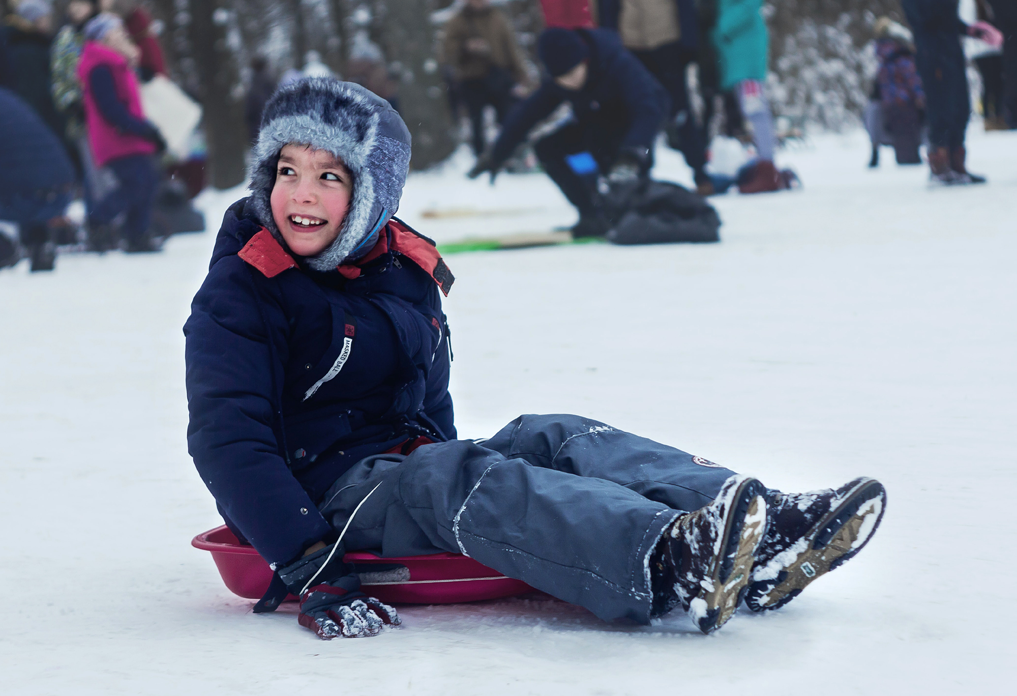 February Winter Vacation at Stamford Museum & Nature Center