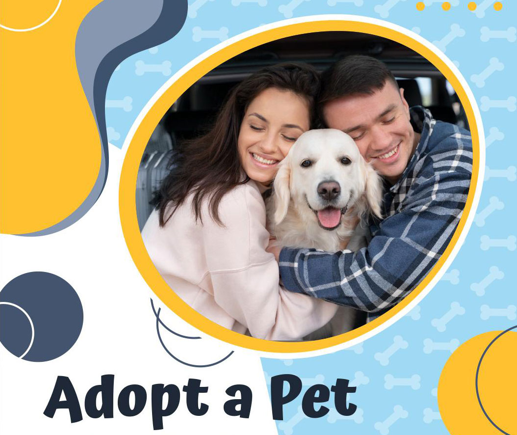 New England Air Museum Paws & Planes Pet Adoption Event