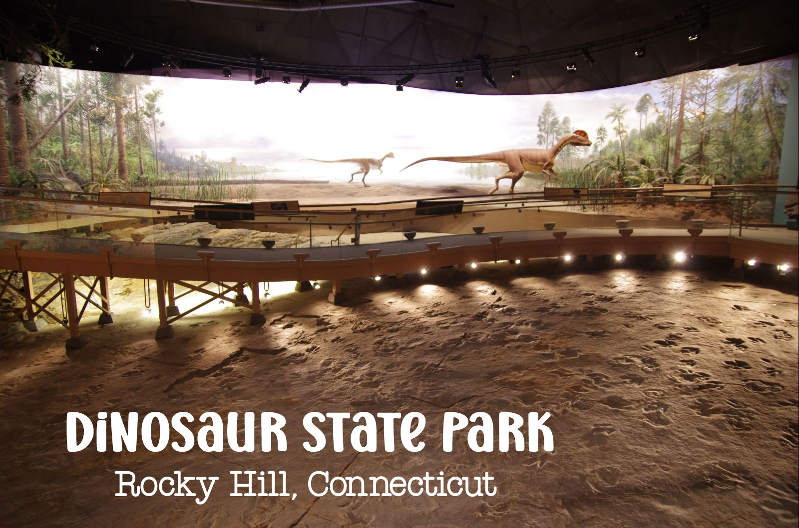 All About Dinosaur State Park and Arboretum