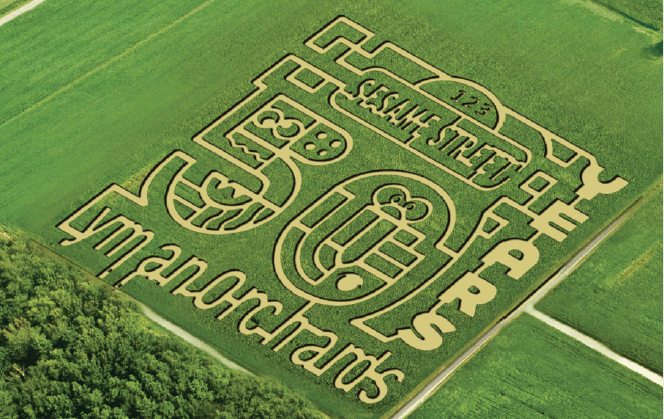  Lyman Orchards Corn Maze