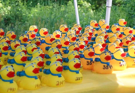 Annual Simsbury Duck Race