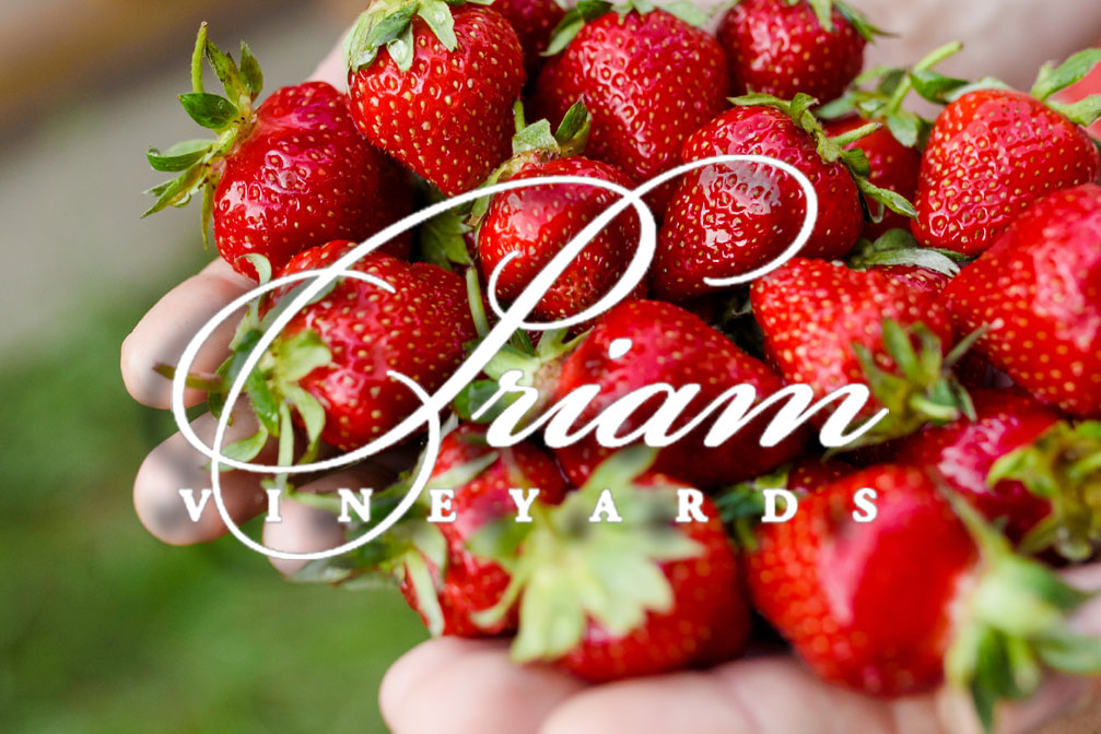 Priam Vineyards Annual Strawberry Festival and Craft Show