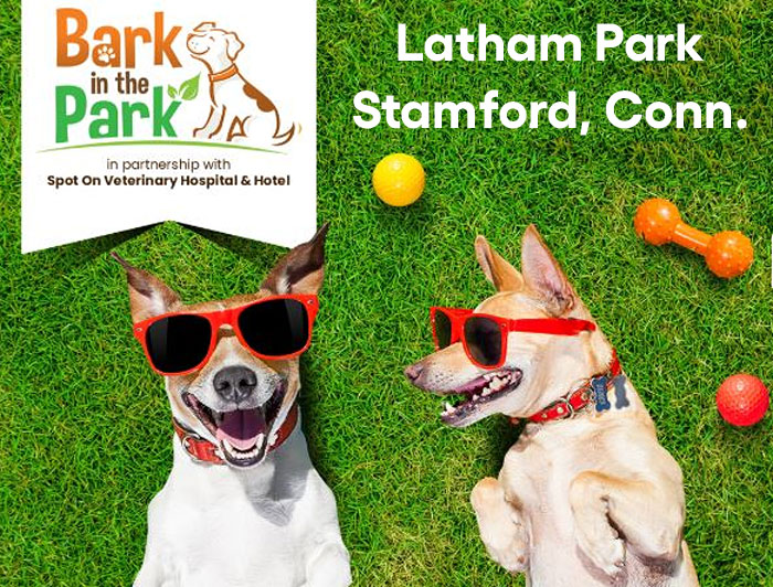 Downtown Stamford's Bark in the Park