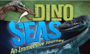 Mystic Aquarium's Dine Seas: An Immersive Journey