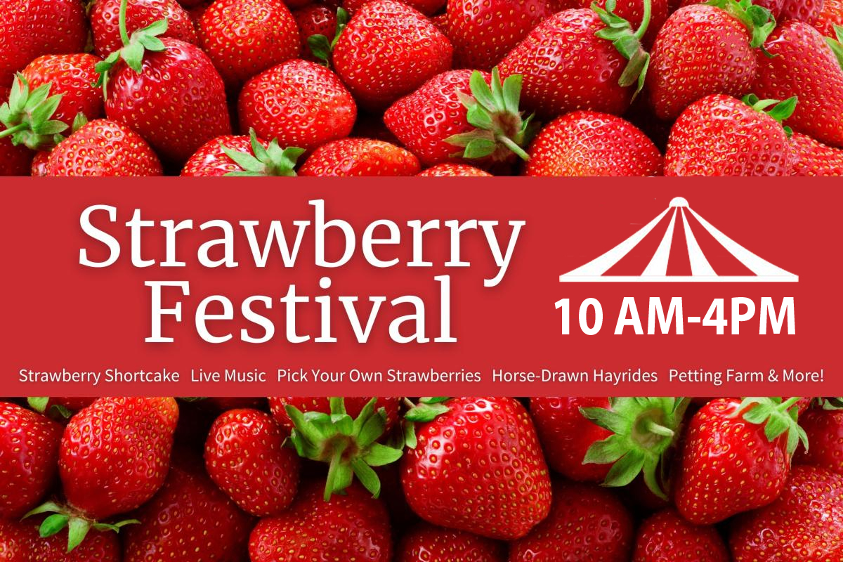Lyman Orchards Strawberry Festival
