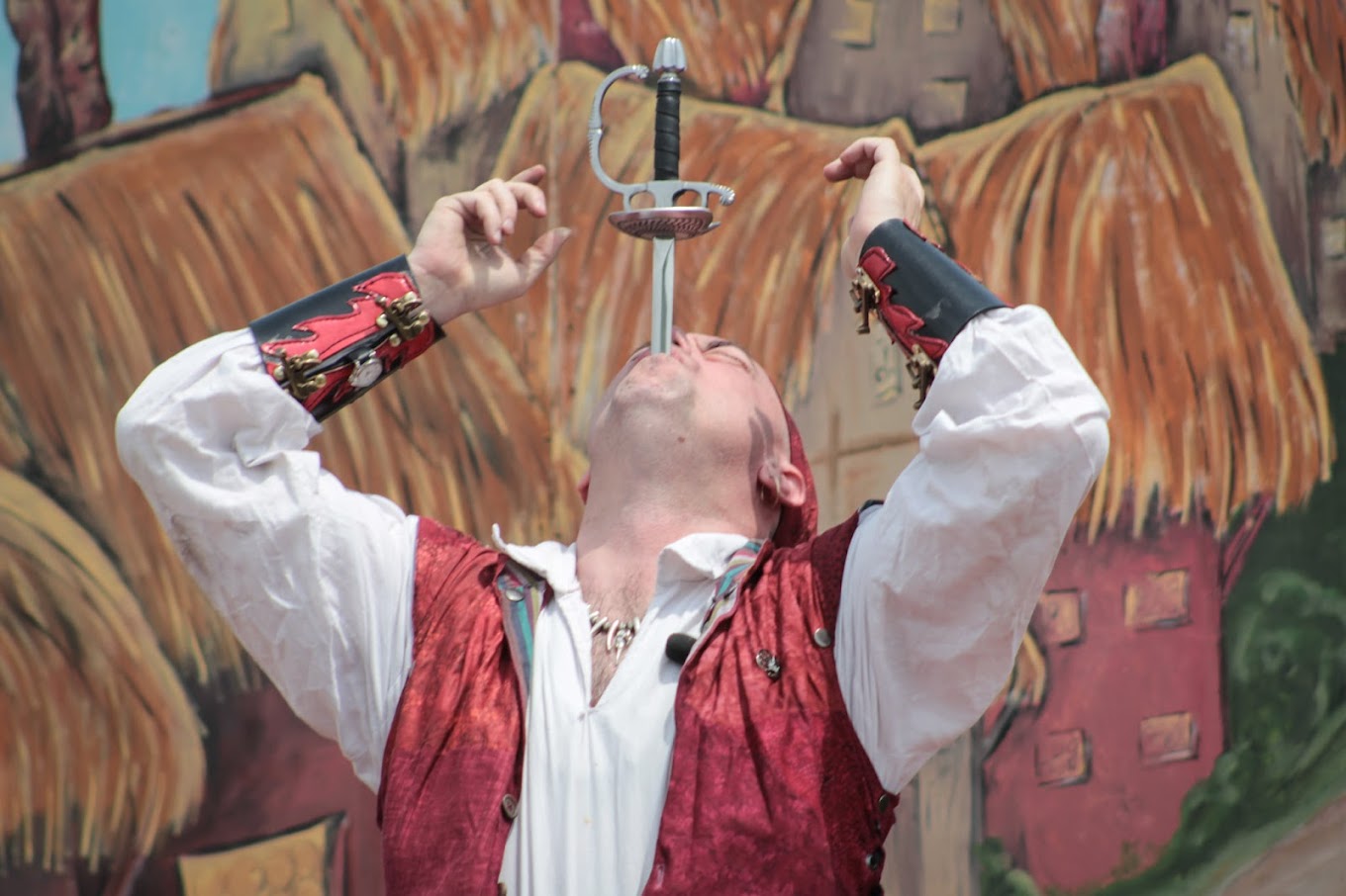 Robin Hood’s Medieval Faire