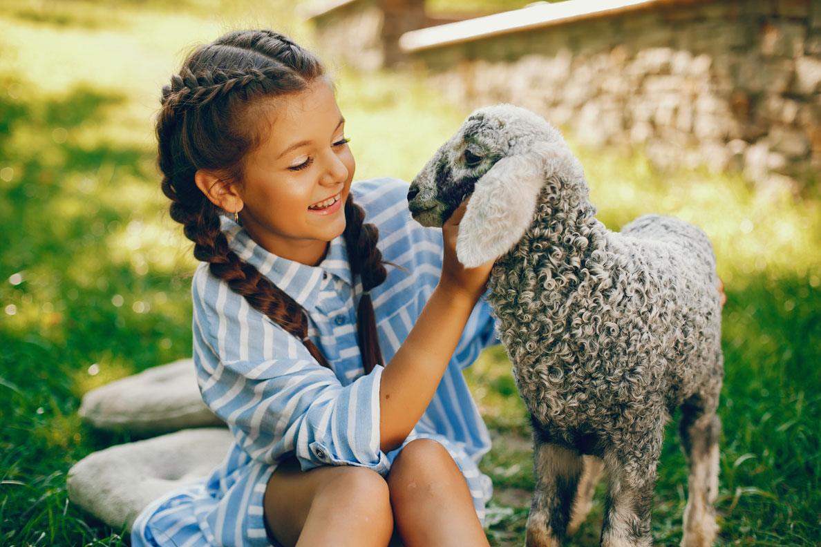 Beardsley Zoo Tots: Farmyard Fun