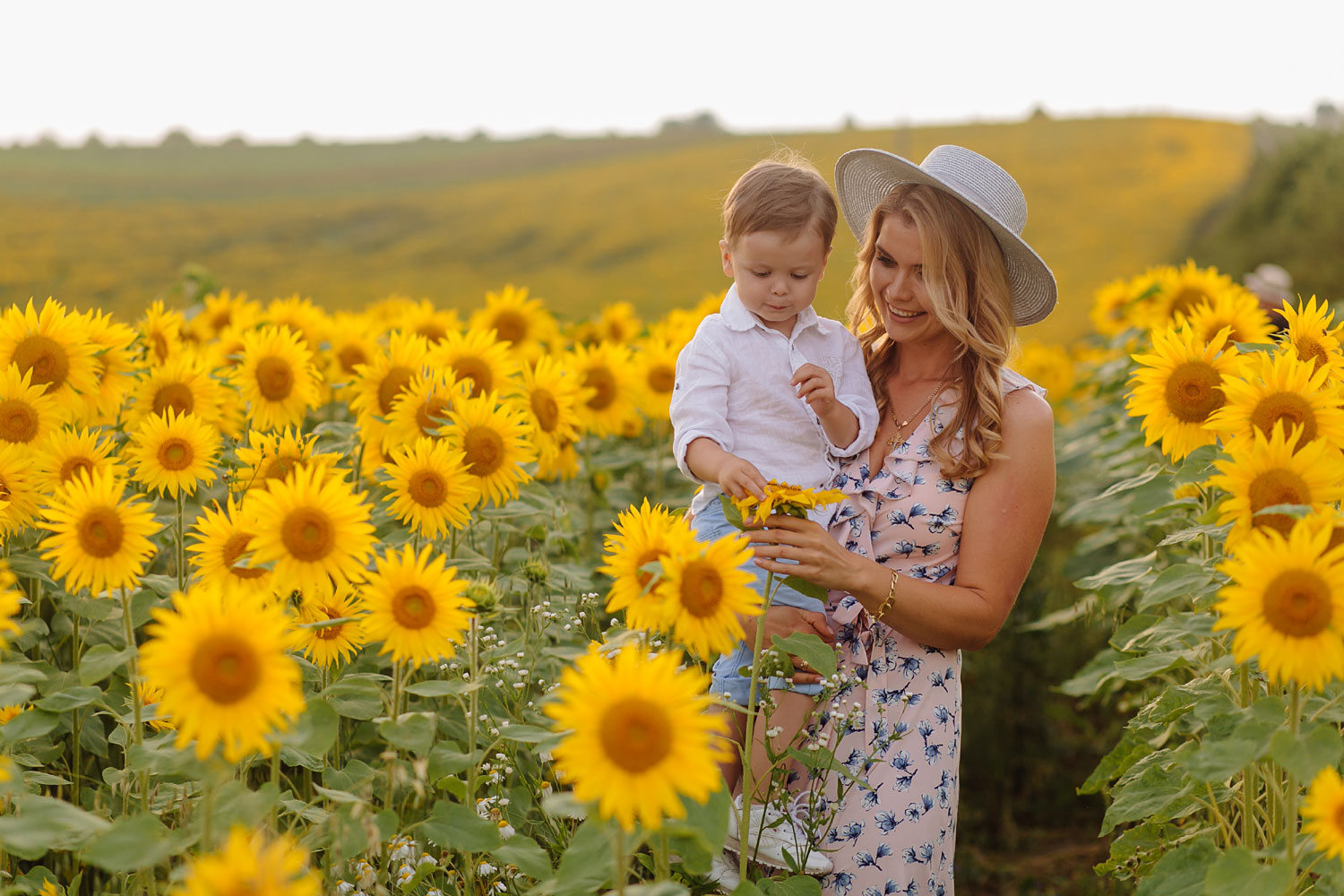 The Annual Buttonwood Farm Sunflower Festival - Kids in Connecticut