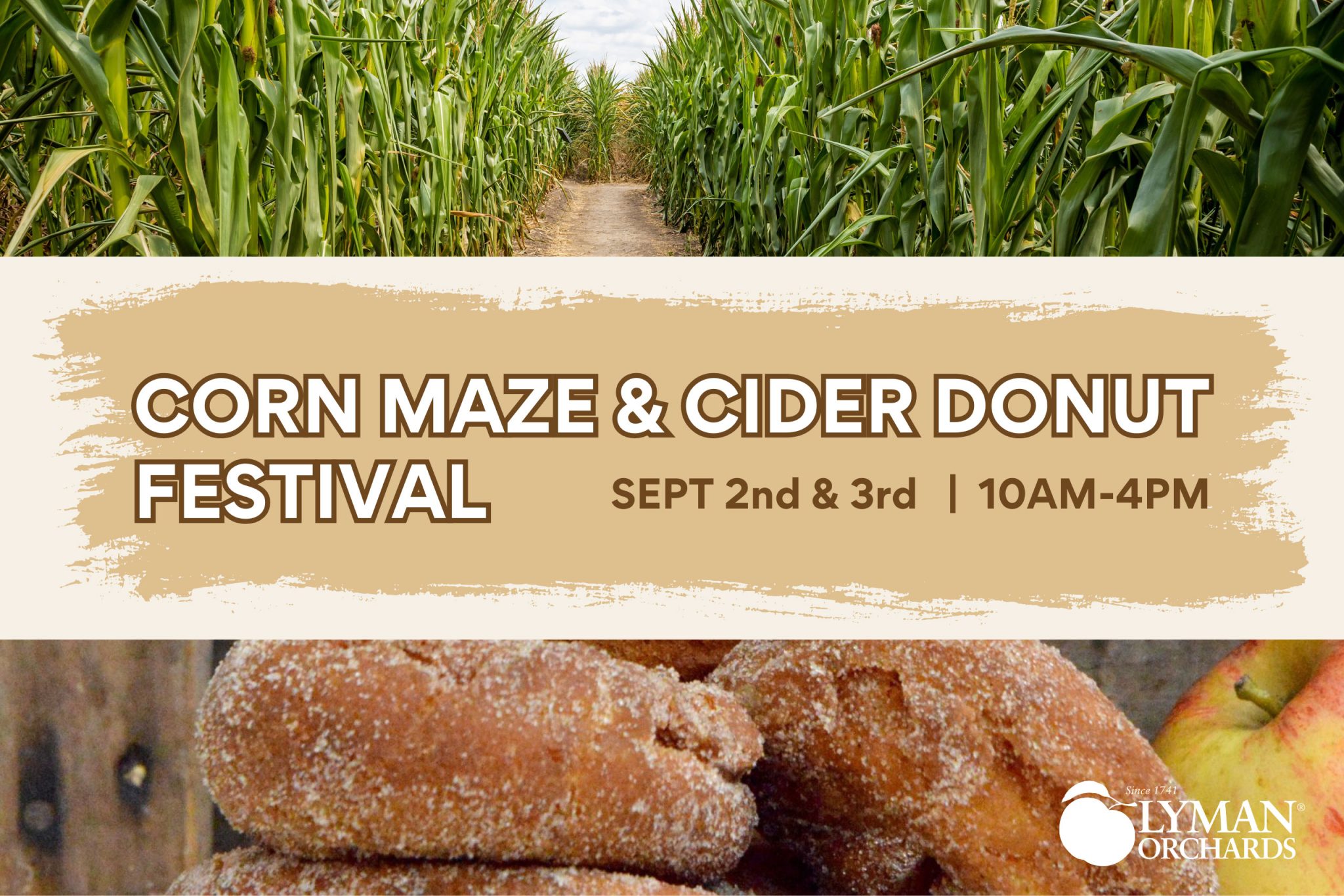 The Lyman Orchards Corn Maze and Cider Donut Festival Kids in Connecticut