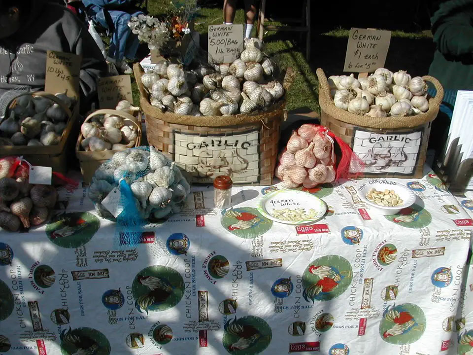 Connecticut Garlic & Harvest Festival at Bethlehem Fair Grounds Kids