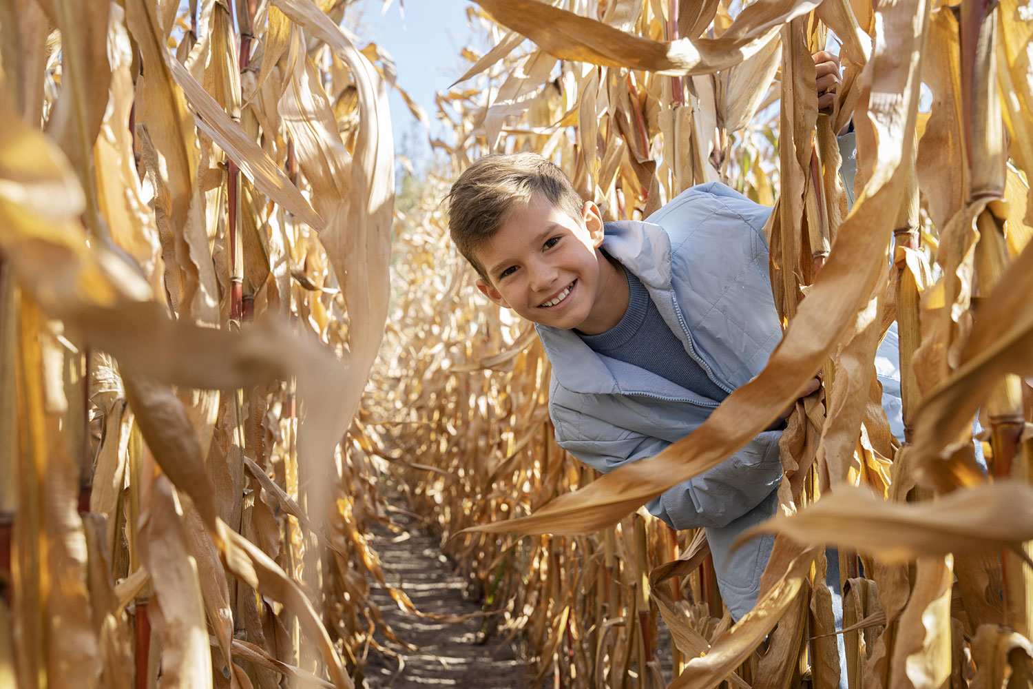 Corn Mazes in Connecticut