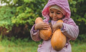 Fun Things to Do with Kids in the Fall in Connecticut