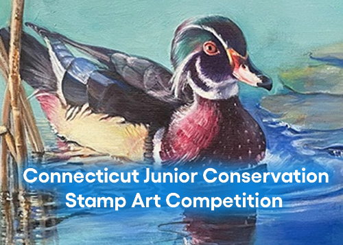 Connecticut Junior Conservation Stamp Art Drawing Competition