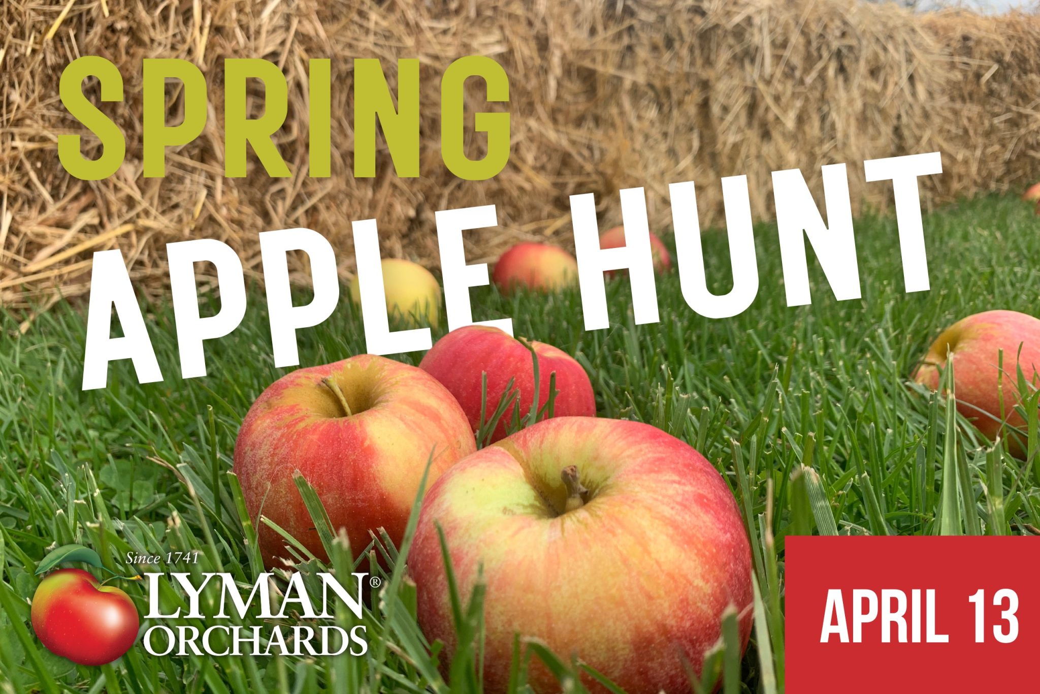 Spring Apple Hunt and Pancake Party at Lyman Orchards
