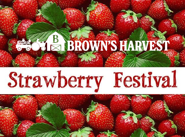 The Annual Brown's Harvest Strawberry Festival