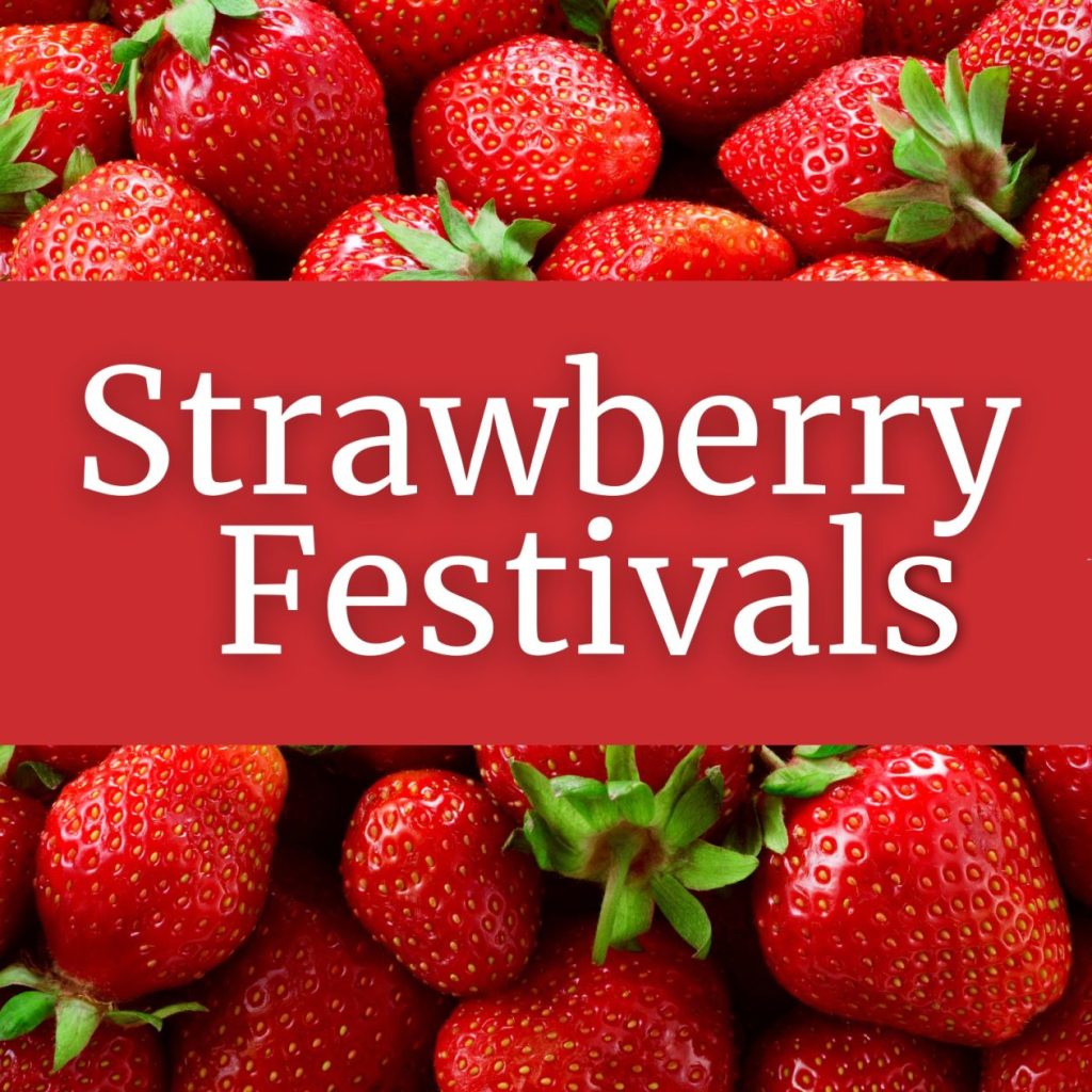 Strawberry Festivals in Connecticut